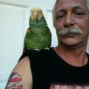 Meet your Posher, Ed